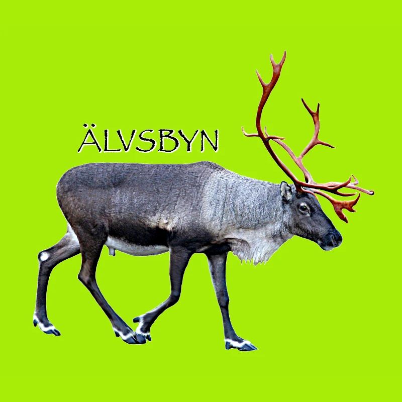 ALVSBYN