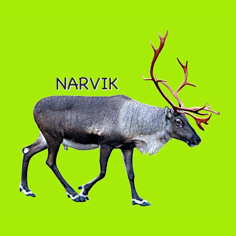 NARVIK