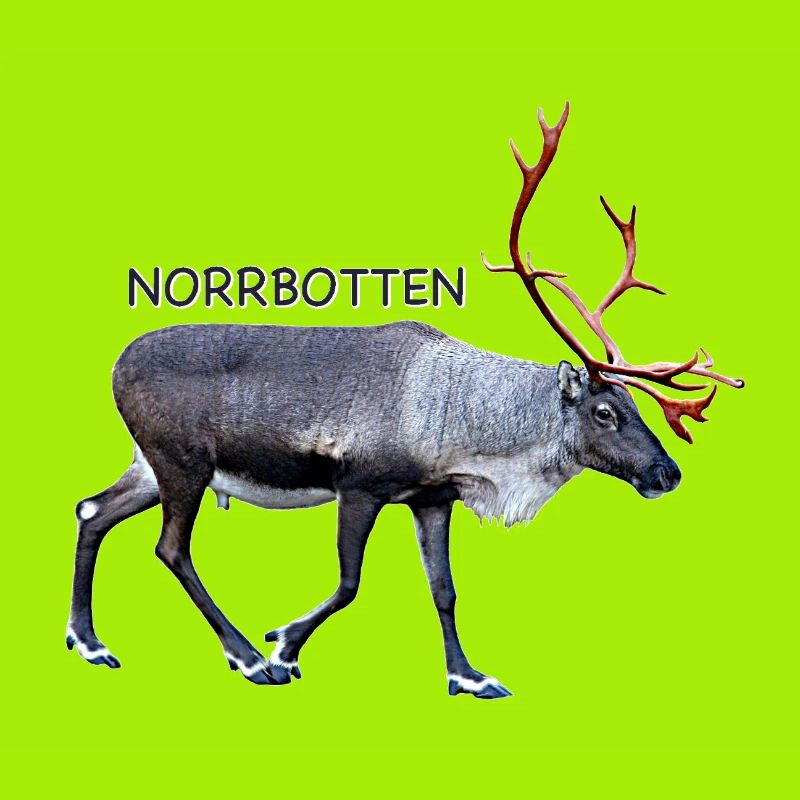 Norrbotten