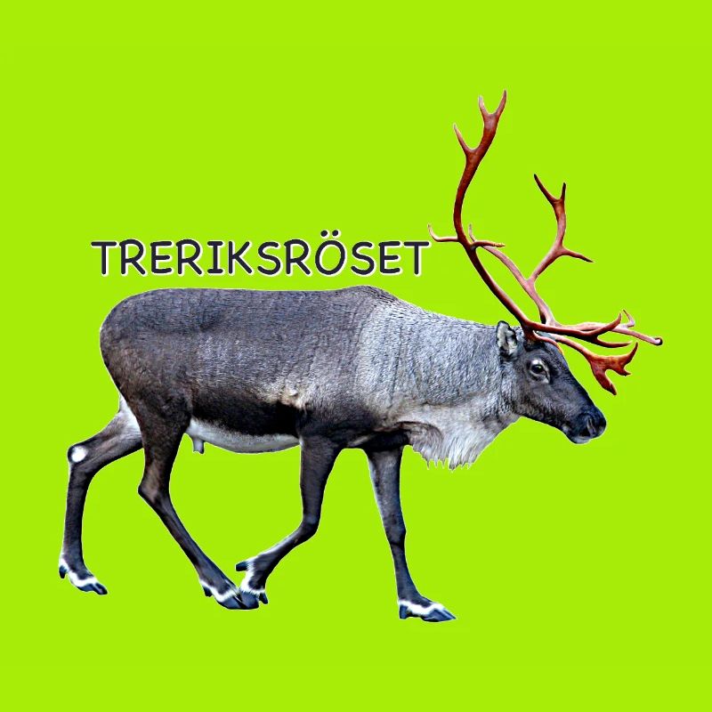DREI-LÄNDER-ROSETTE