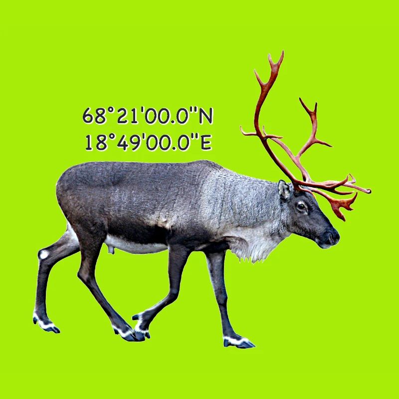 abisko