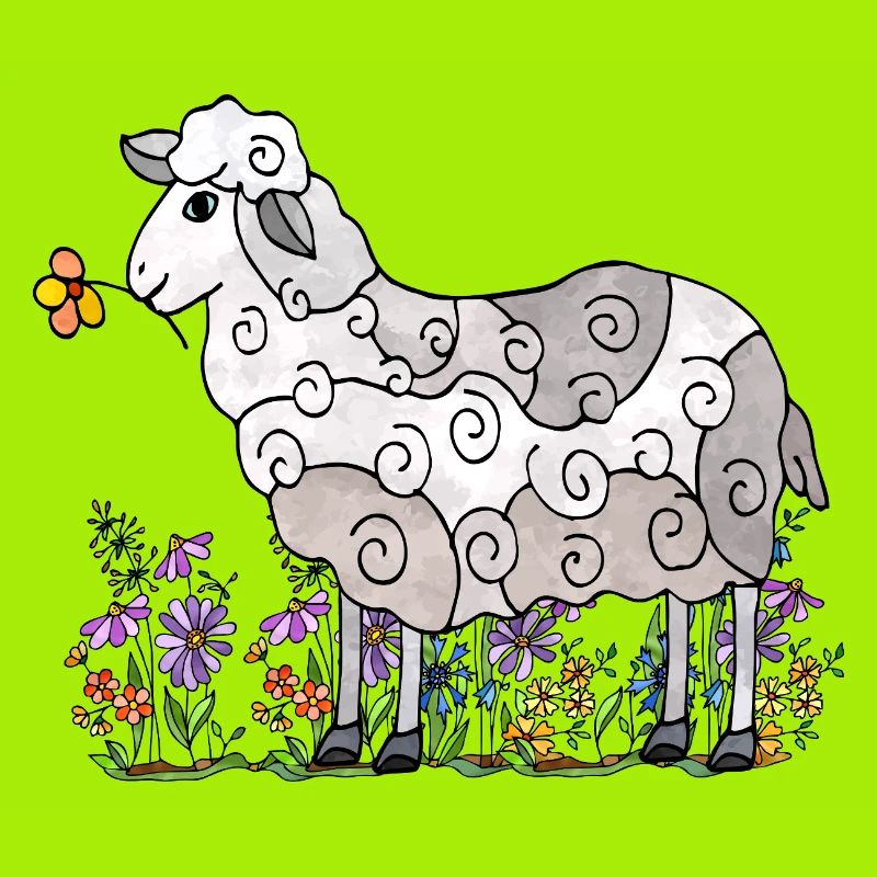 Sheep