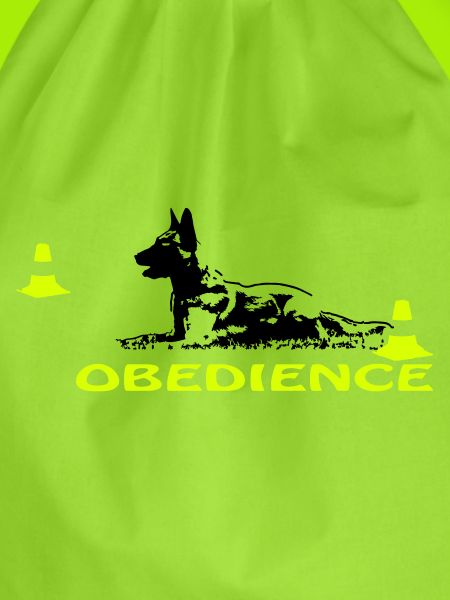 Obedience Malinois in Box