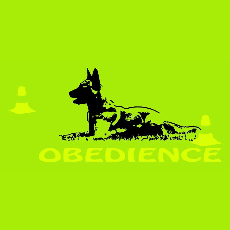 Obedience Malinois in Box