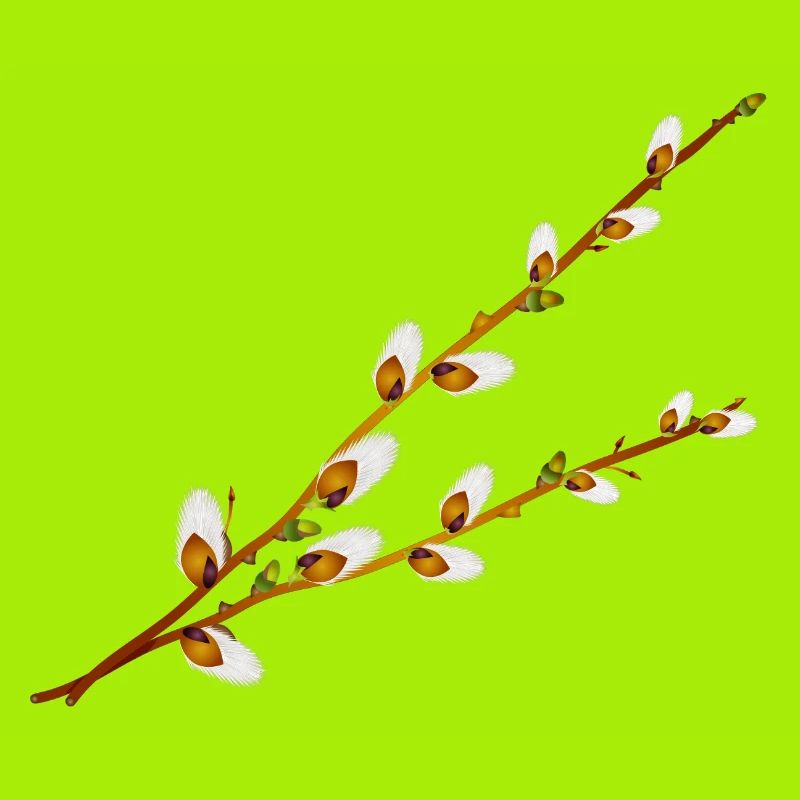 Delicate Palm Catkins Branches – Spring Motif