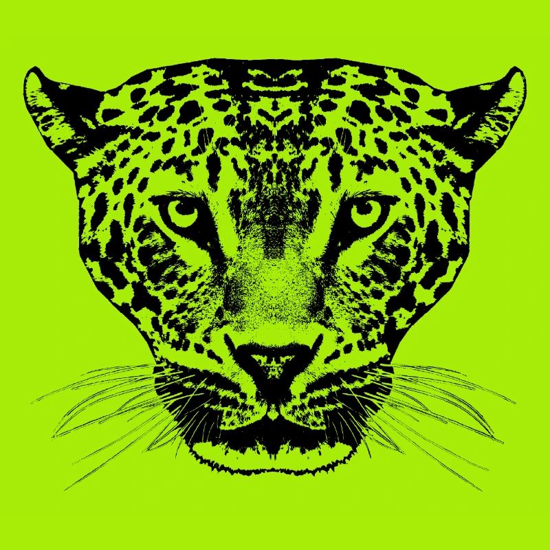 Leopard / Head