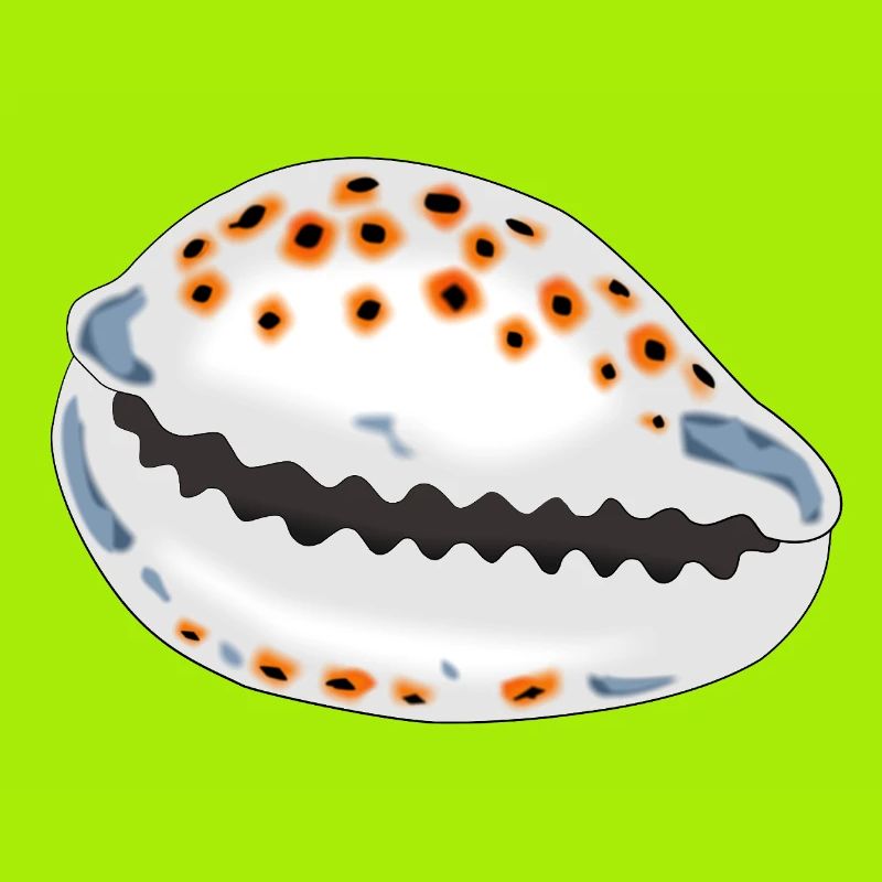 Shell with dots