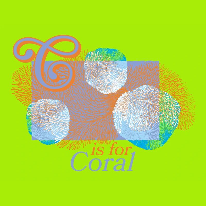 Coral magic in focus