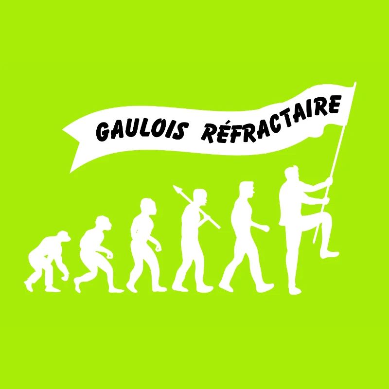 Evolution du gaulois réfractaire