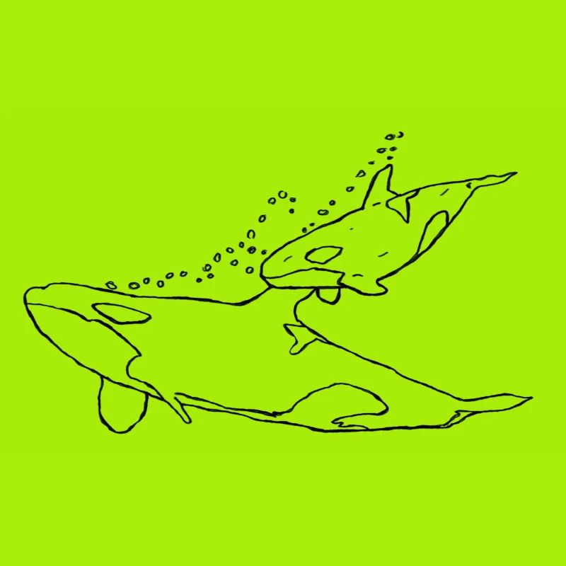 Killer whale