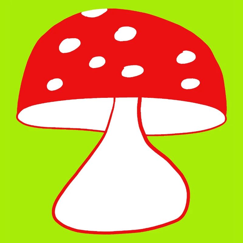 Red fly agaric mushrooms
