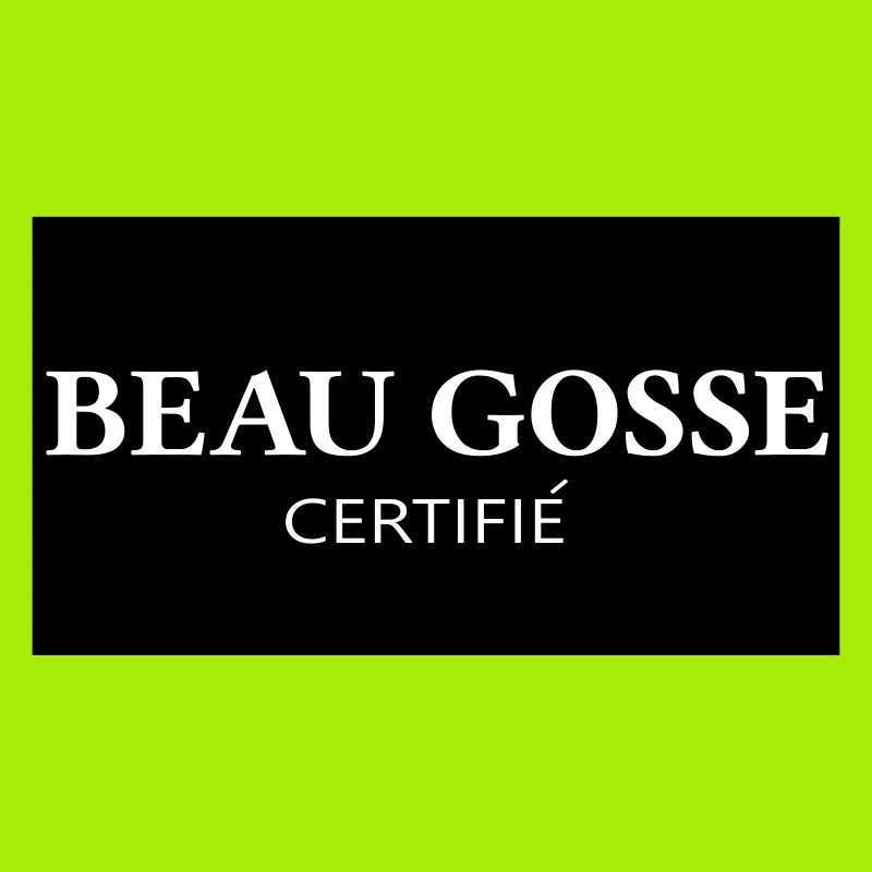 Certified Handsome Kid Logo