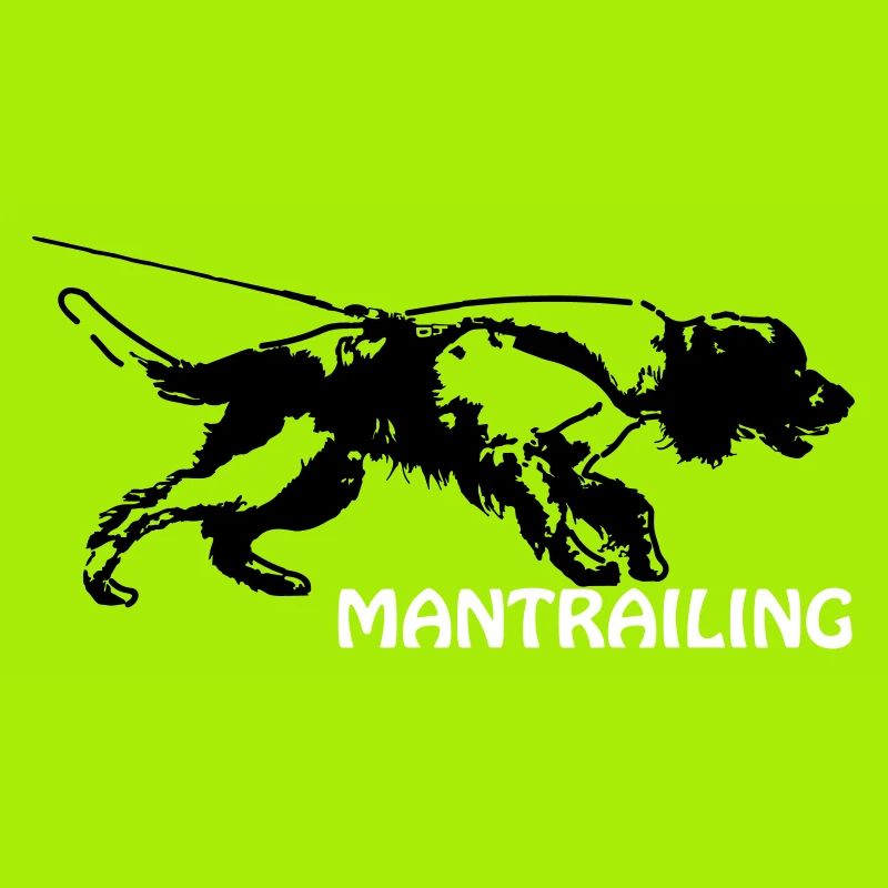 Springer Spaniel beim Mantrailing