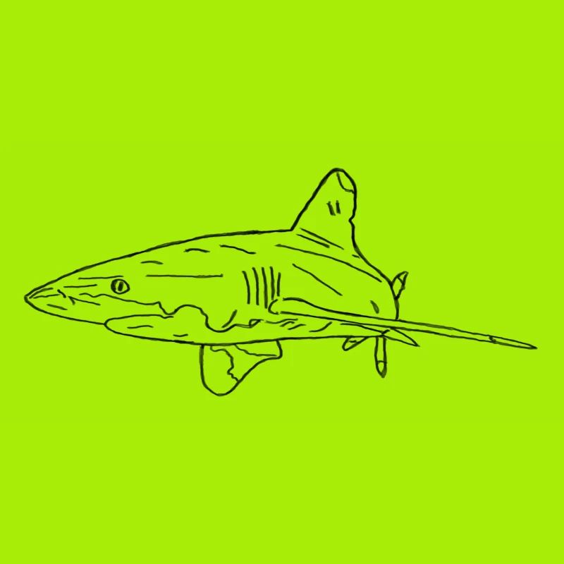 Requin