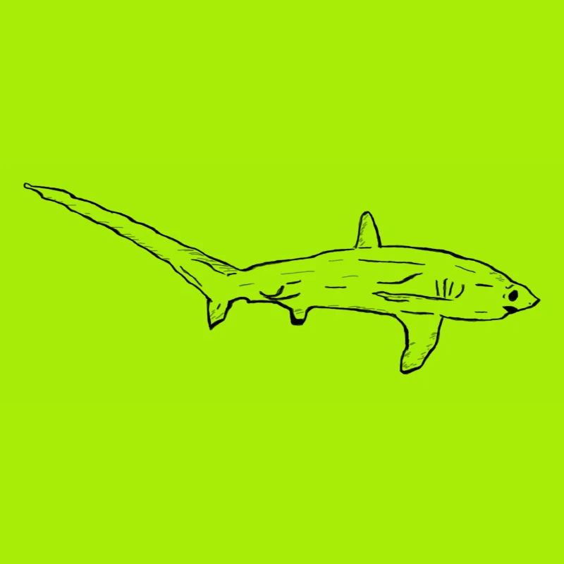 Thresher shark