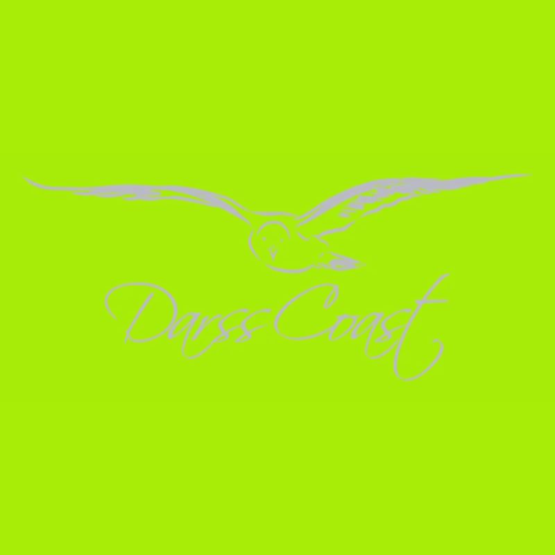 Möwe - DarssCoast Möwen Collection