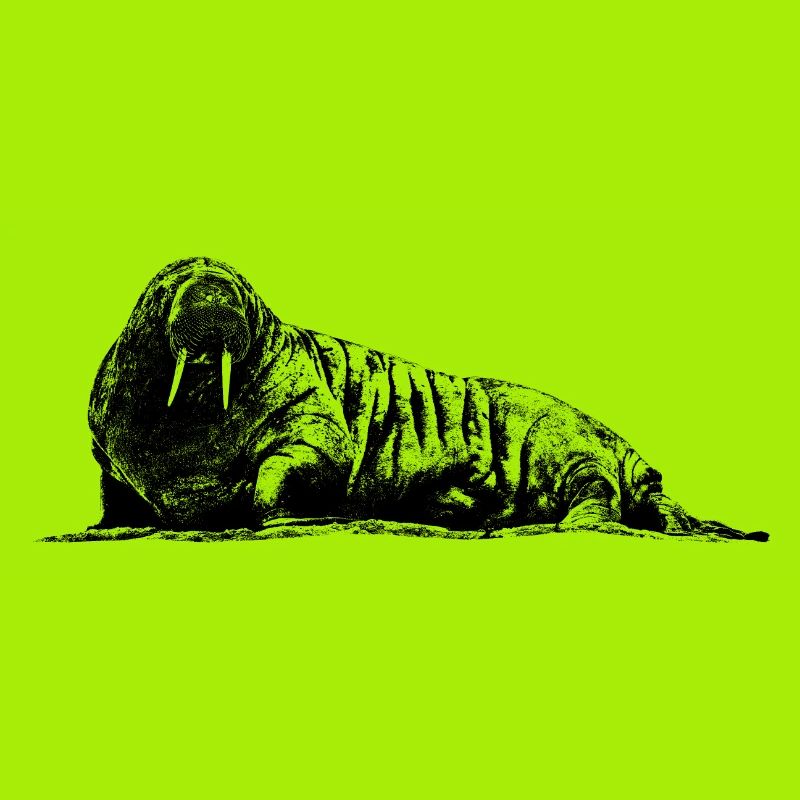 Graphique de morse