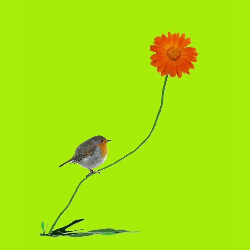 Robin avec fleur