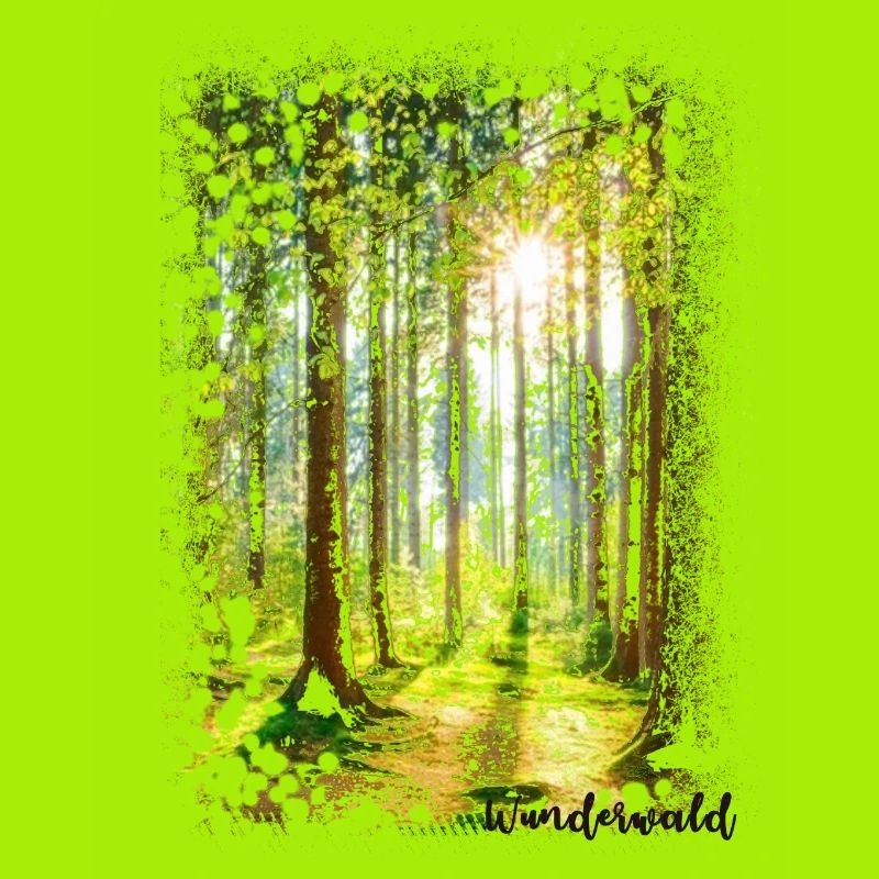 Forêt miraculeuse, forêt