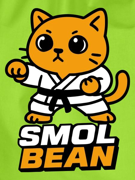 Cat fighters in the dojo