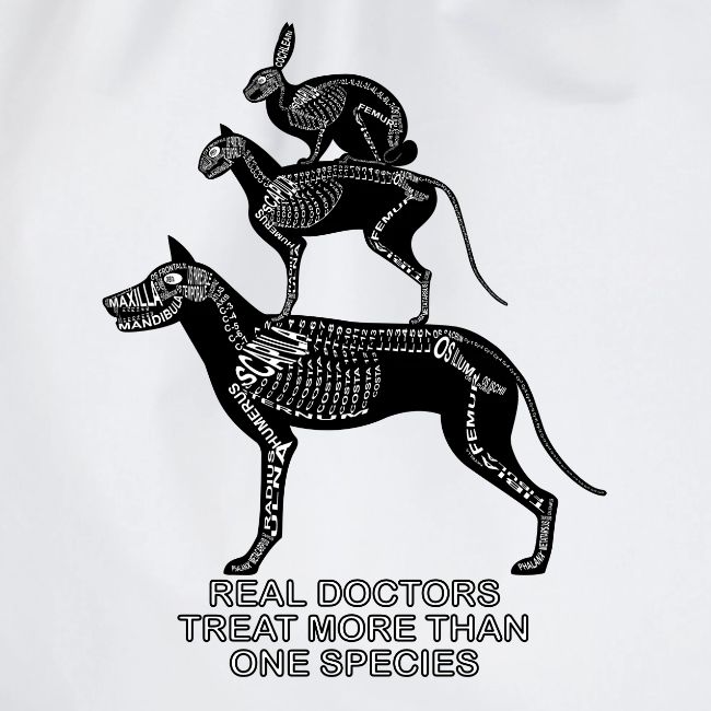 De vrais médecins ... animaux