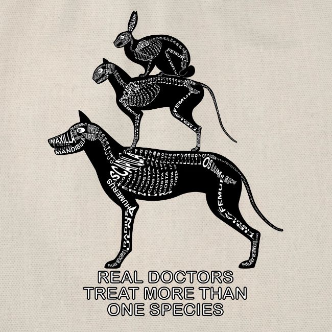 De vrais médecins ... animaux
