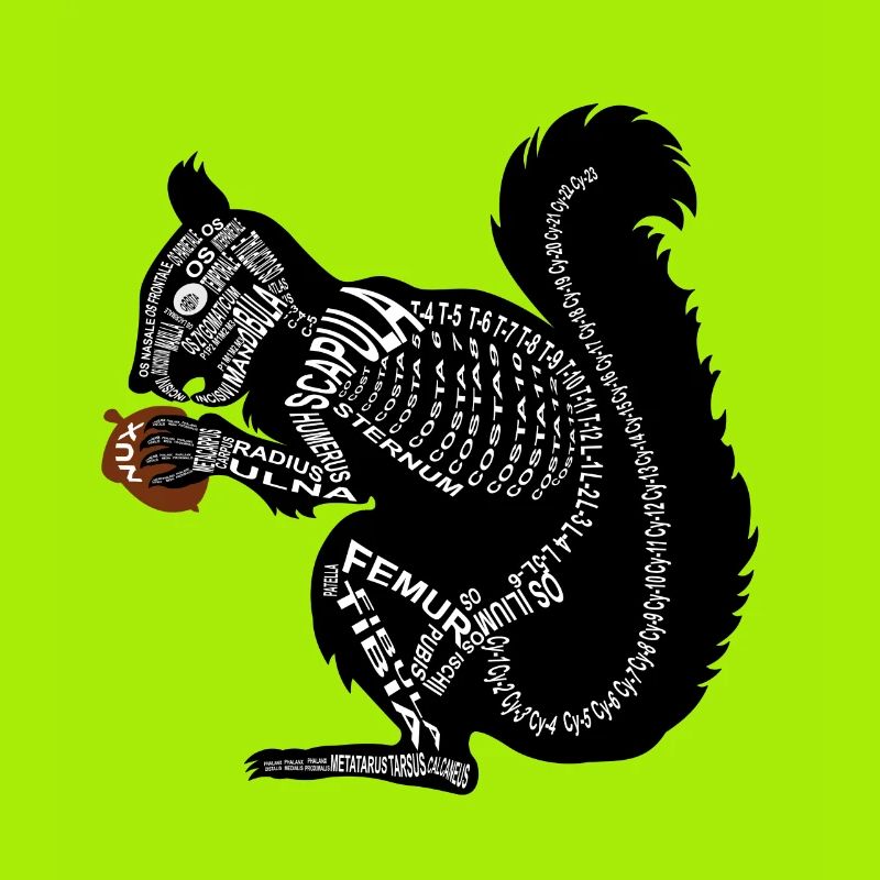 Eichhörnchen