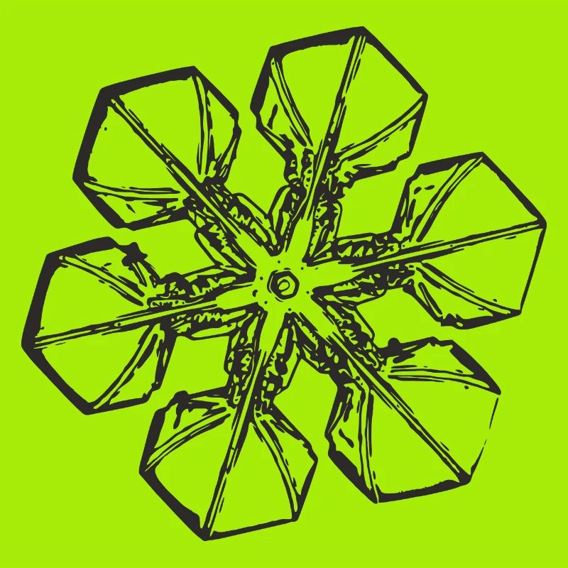 snowflake 2 black