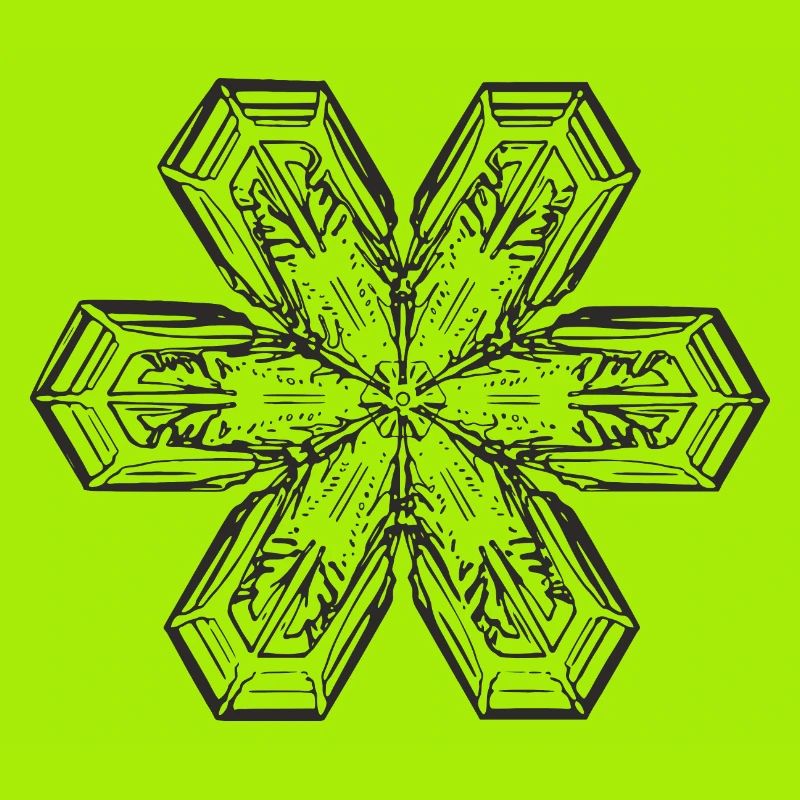 snowflake 1 black