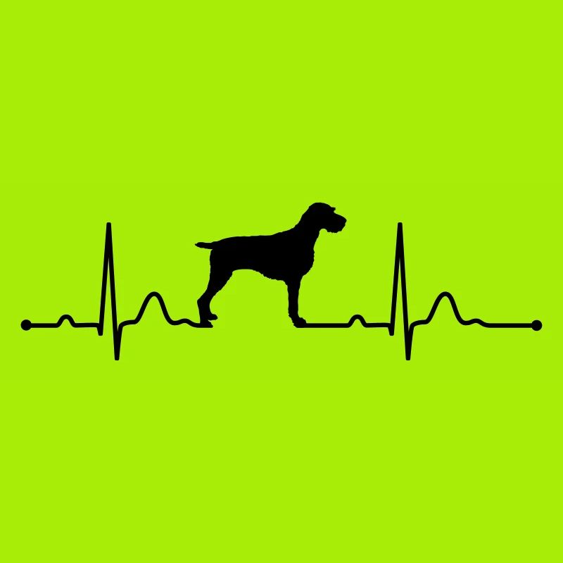 ALLEMAND FIL DE FER - GERMAN WIREHAIRED POINTER