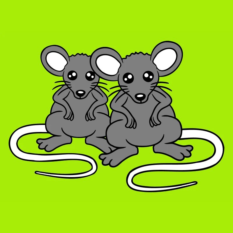 Zwei Böse Mäuse Wütend Frustriert Sauer Aggressiv