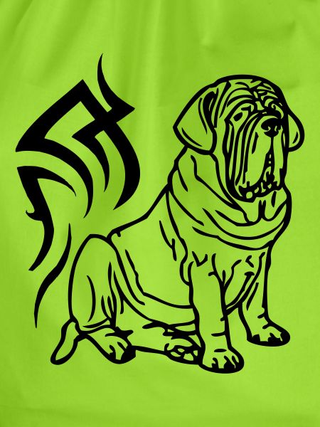 mastino © www.dog-power.nl