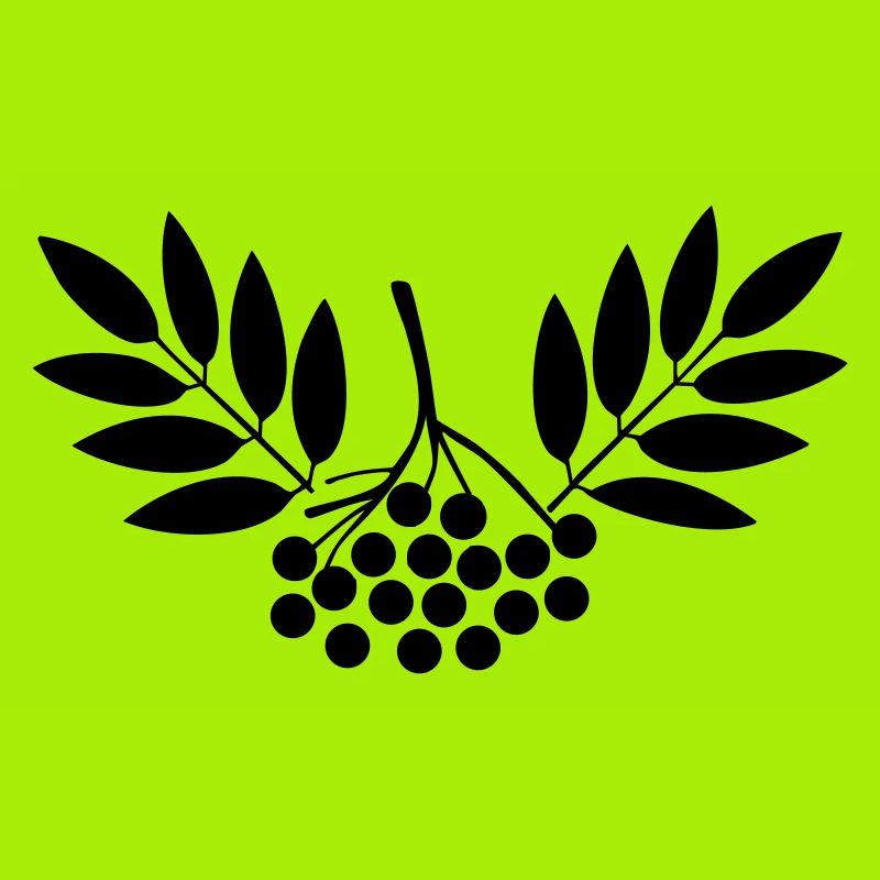 Rowan - Botanical Illustration