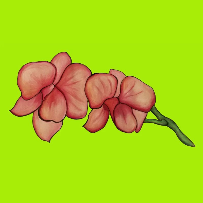 Rosa Orchidee