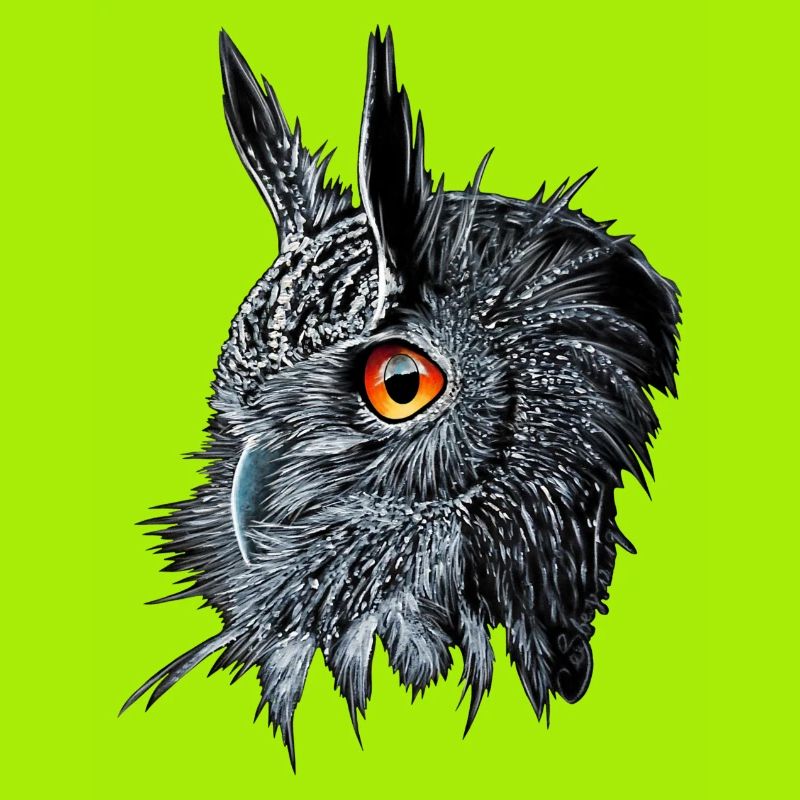 Uhu /Bubo Bubo/Hibou