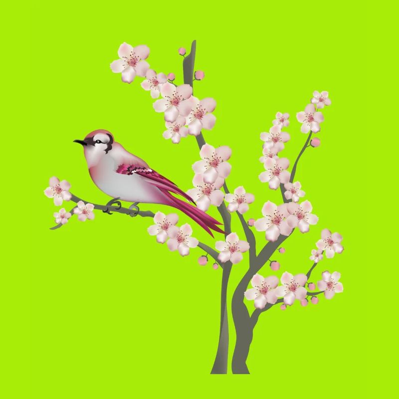 spring