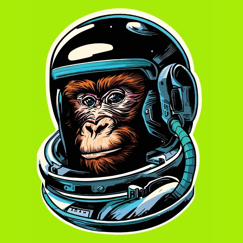 Singe de l’espace