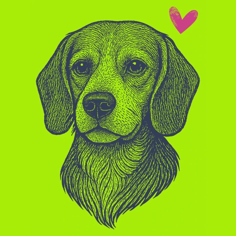 Beagle – Curious, Cute, Unstoppable