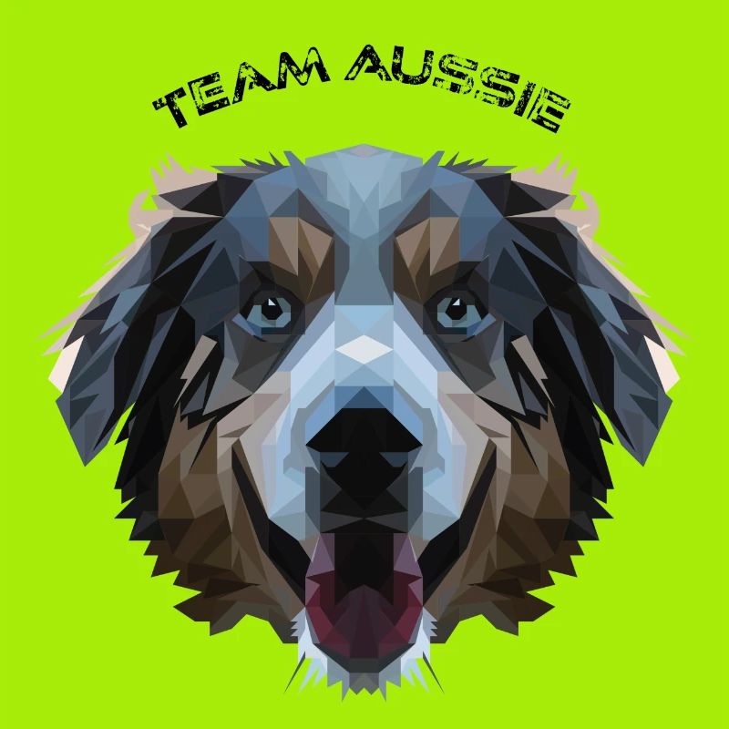 Aussie dans la conception de polygones - géométrie