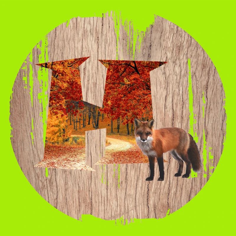 h autumn forest with fox
