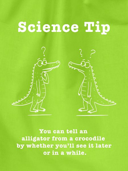 Science Tip Krokodil Vergleich