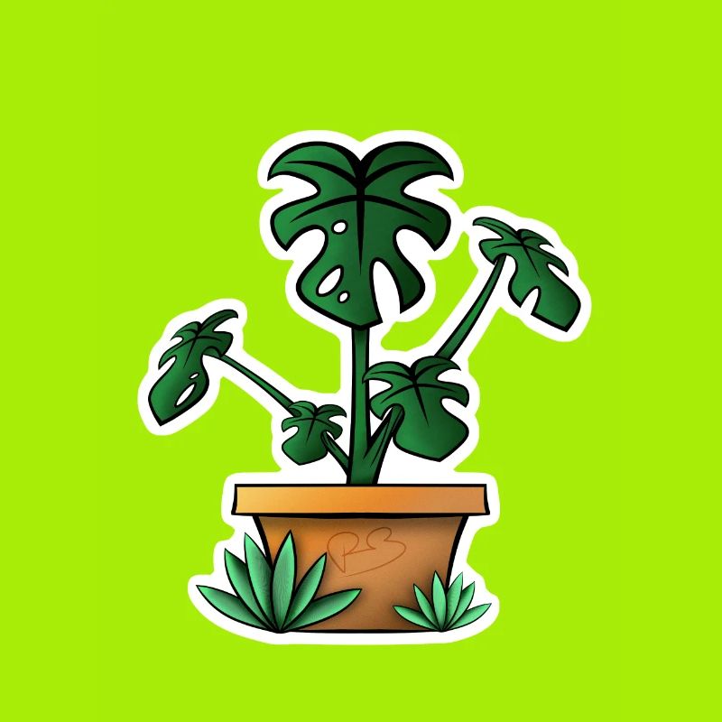 Monstera!