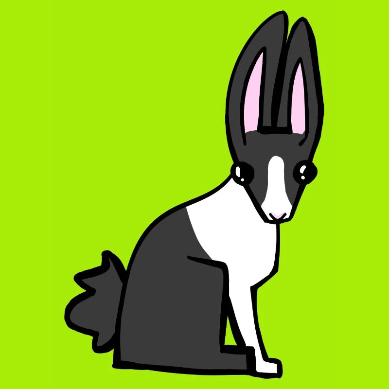 bunny