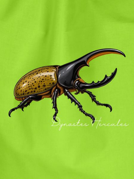 Herkuleskäfer Dynastes hercules