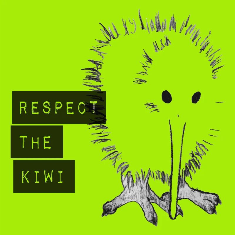 DATA Respect the Kiwi GREY