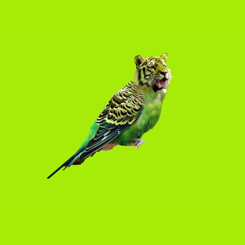 Tiger Bird