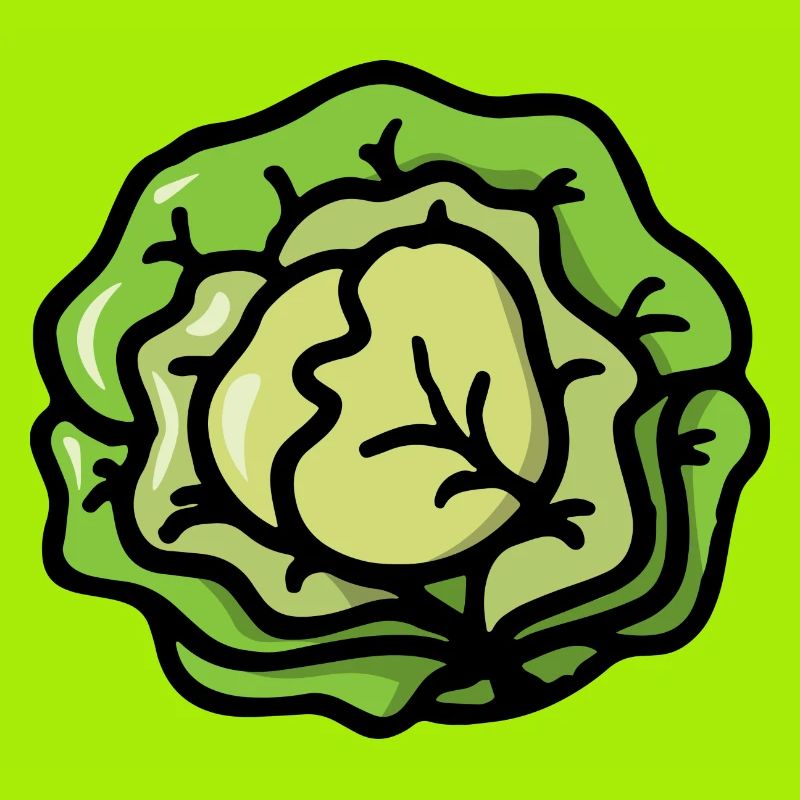 Salad cabbage vegetables - Salad cabbage vegetable