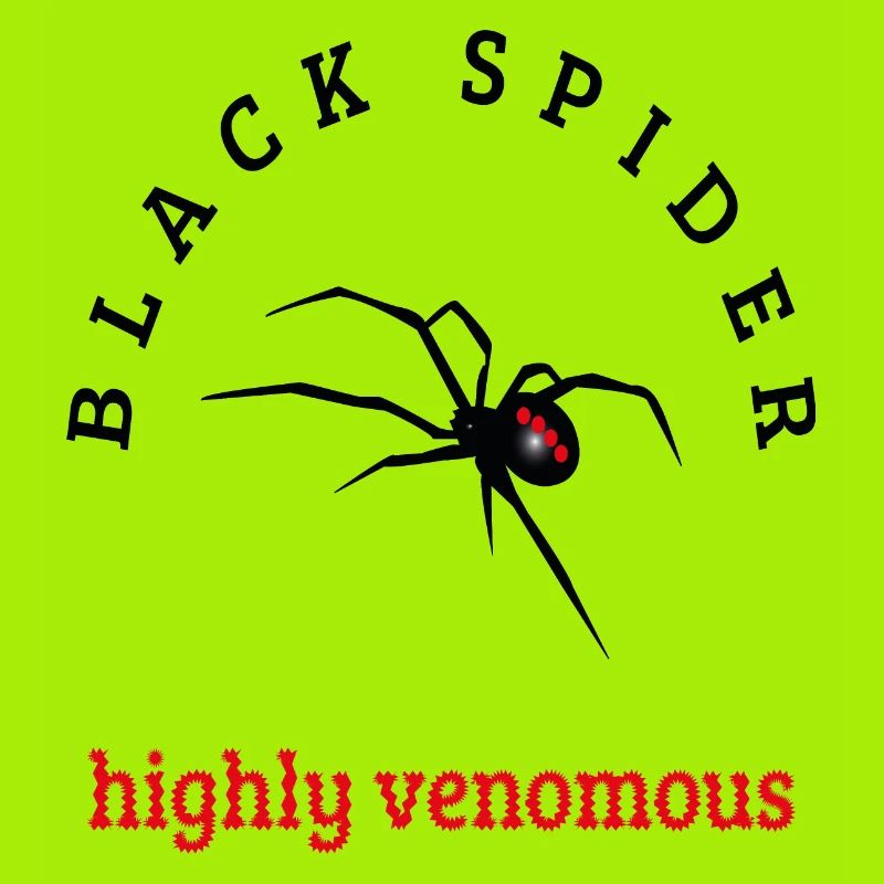 Spinne