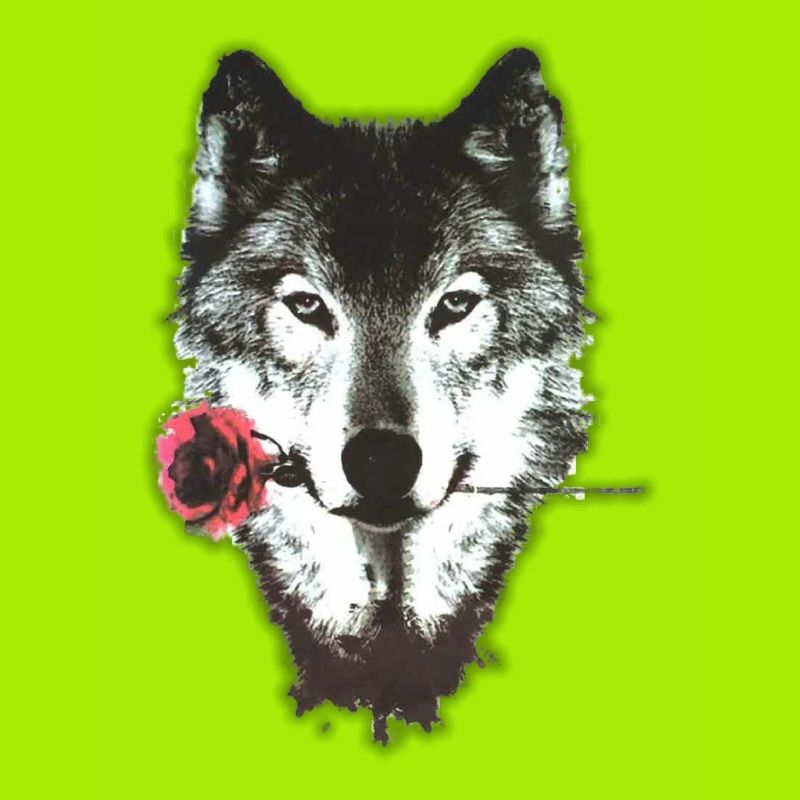 Wolf & Rose