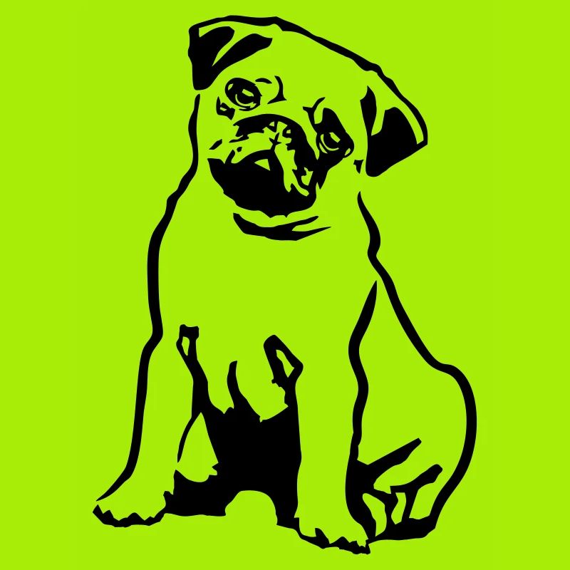 Hund Mops